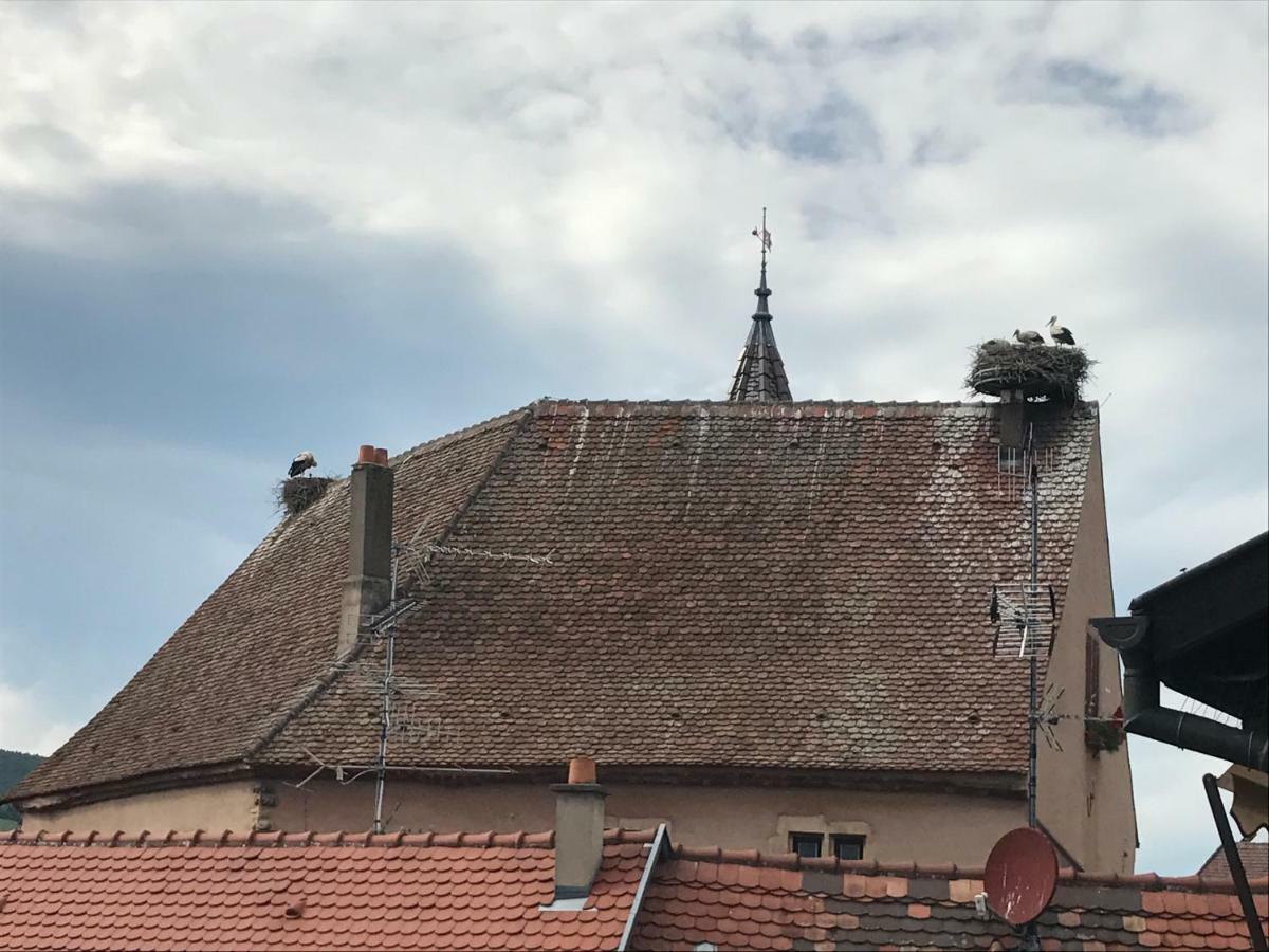Gite "Smart'In" - Parking Offert Eguisheim Eksteriør billede