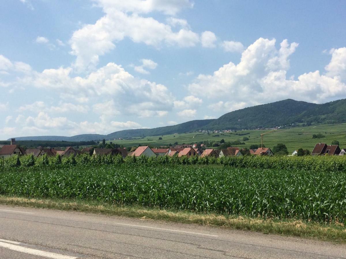 Gite "Smart'In" - Parking Offert Eguisheim Eksteriør billede